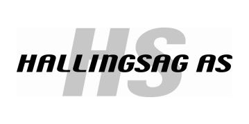 Hallingsag AS Logo